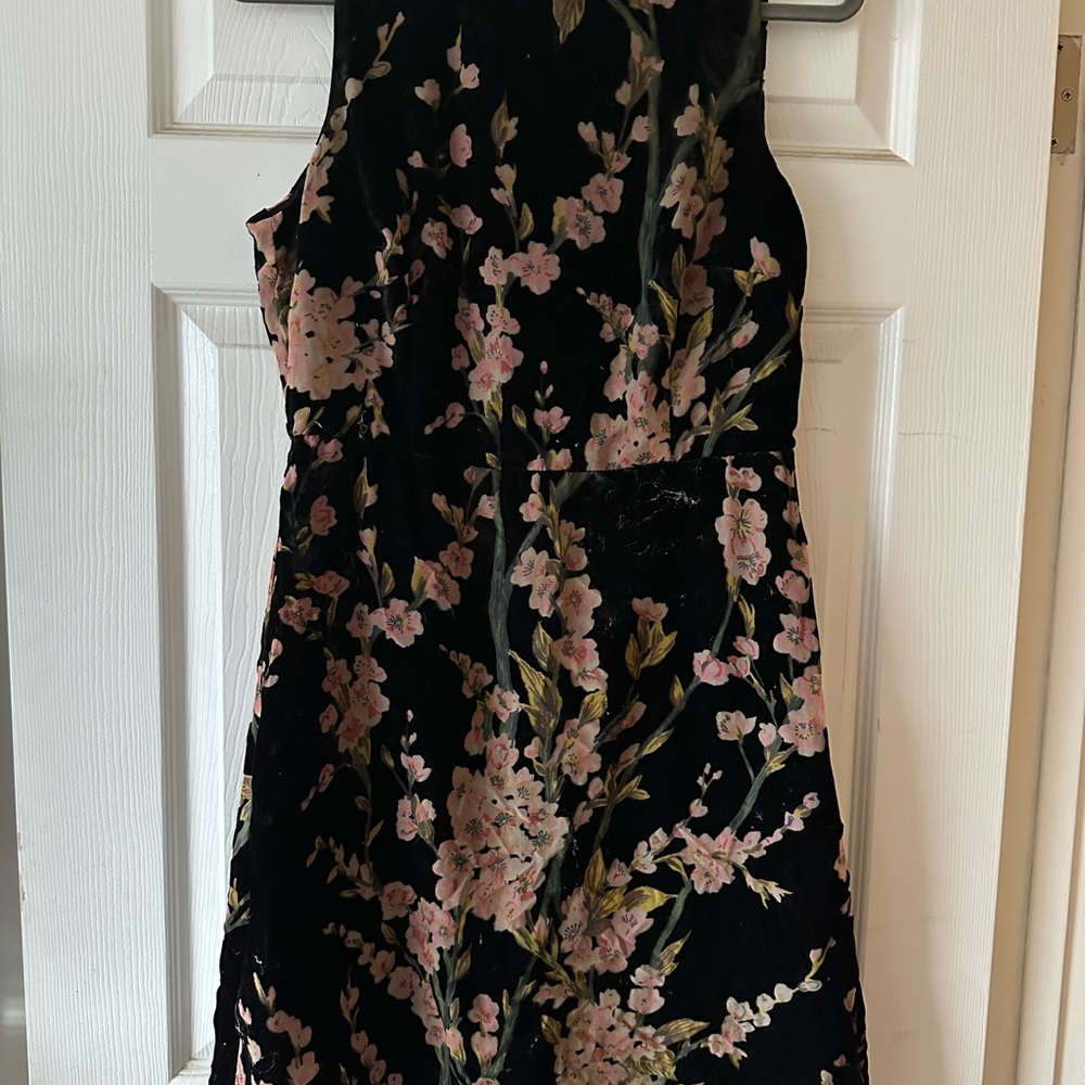 Aakaa NWT Floral Velvet Mock Neck Mini Black Pink Green | Large